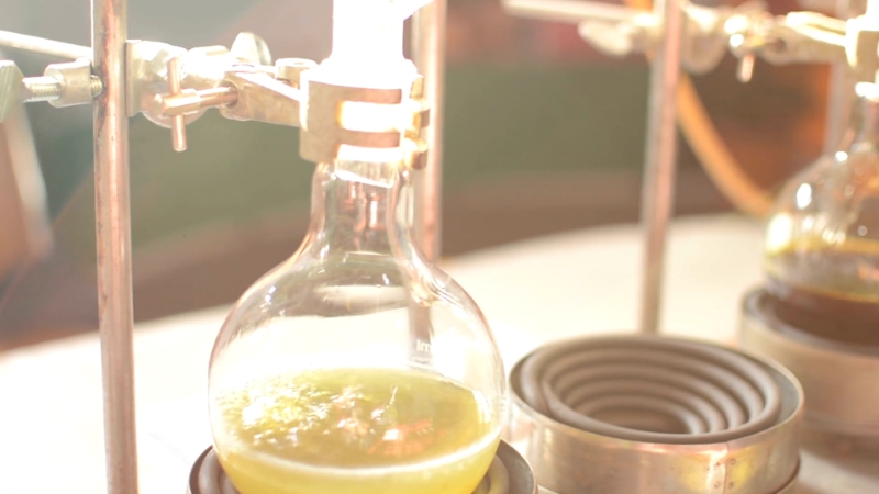 Glass lab flask filled with yellow-green neem extract being processed under controlled conditions
