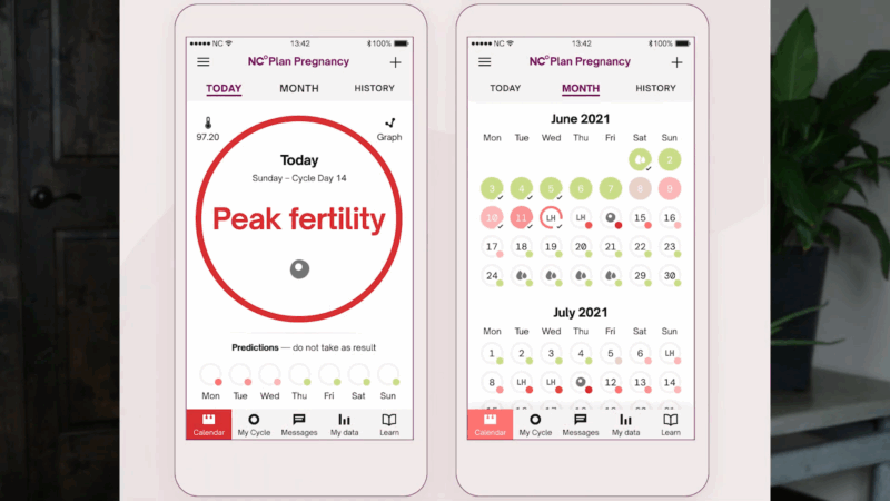 Two smartphones display the Natural Cycles Period Tracking App showing fertility status and monthly cycle calendars